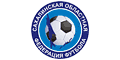 Сахалинская областная федерация футбола