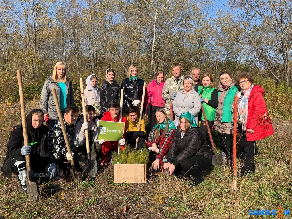 Сотрудники Сбера в Сахалинской области поддержали Всероссийскую акцию "Сохраним лес"