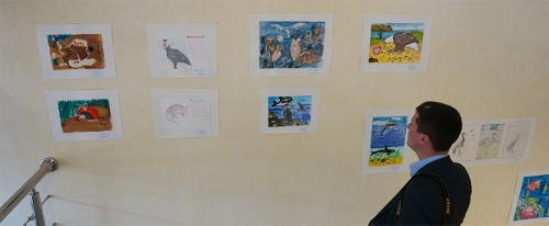 Выставка детских рисунков в Доме культуры Южно-Курильска. Автор фото: Ирина Неведомская.