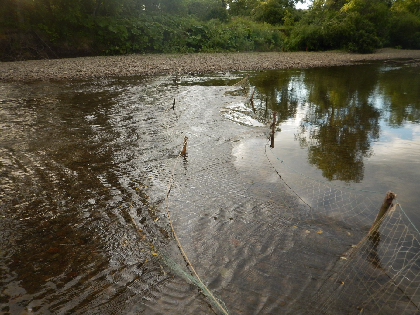 Река пусто 2. Река пусто 2. Пустая река. Река чужга. Mullaitivu.
