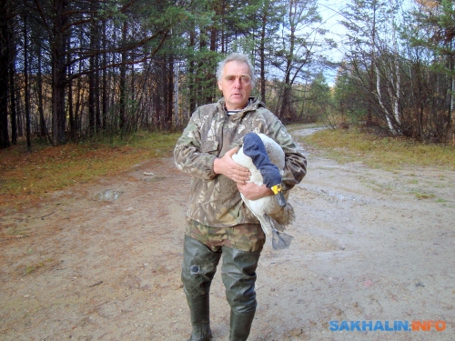 Виктор Буткалюк со спасенным тундровым лебедем