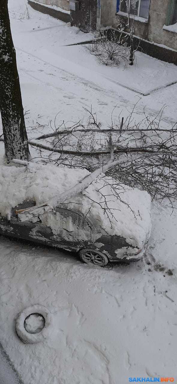 Эльтонский природный парк география. Ваза крито микенского периода. Прикосновение к природе. Под порывами. Под порывами.
