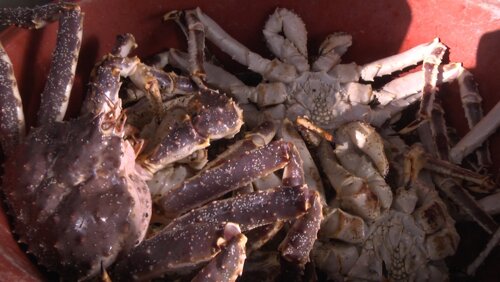 Архивное фото УМВД