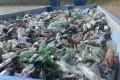 Сахалинцы сортируют все больше мусора