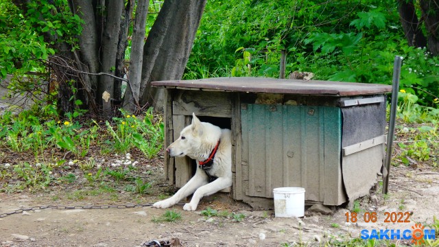 DSC09796

Просмотров: 128
Комментариев: 0