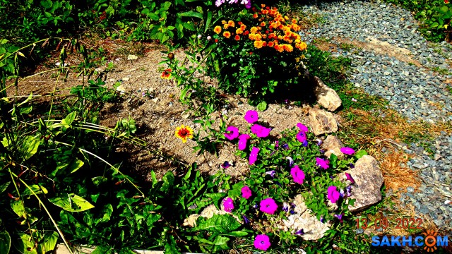 DSC03765

Просмотров: 139
Комментариев: 0