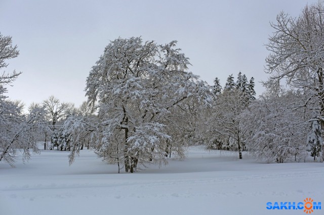 015-к

Просмотров: 608
Комментариев: 0
