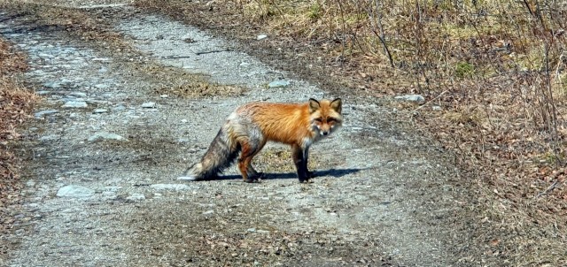 20190427_214305

Просмотров: 665
Комментариев: 0