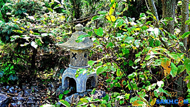 DSC04169