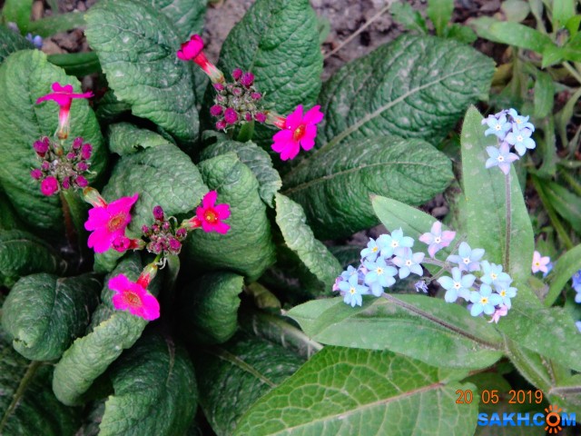 DSC06901

Просмотров: 478
Комментариев: 0