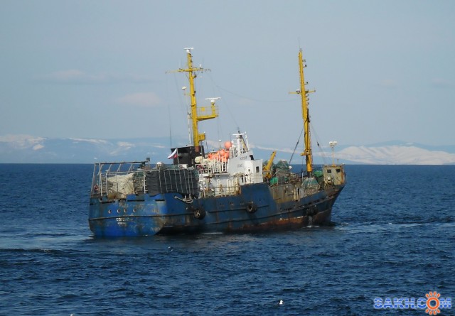 КОРСАР.   
Фотограф: 7388PetVladVik

Просмотров: 5427
Комментариев: 1