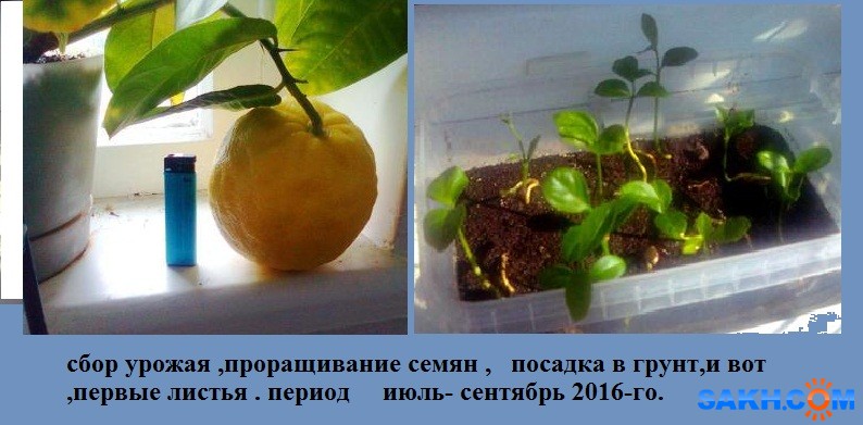 Фото3126

Просмотров: 740
Комментариев: 0