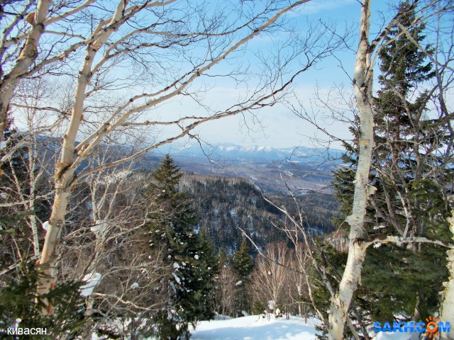 DSCN0246