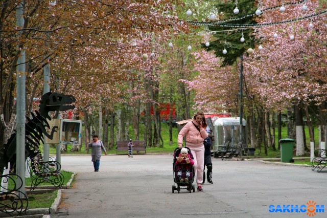 В парке

Просмотров: 585
Комментариев: 0