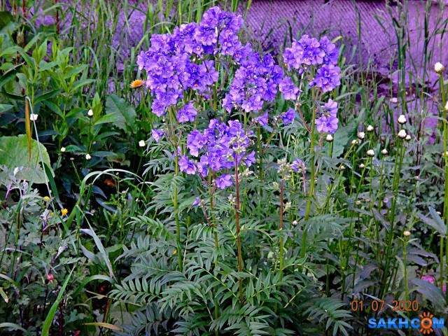 DSC02147

Просмотров: 554
Комментариев: 0
