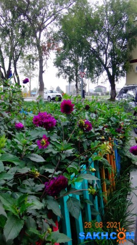 DSC05223

Просмотров: 348
Комментариев: 0
