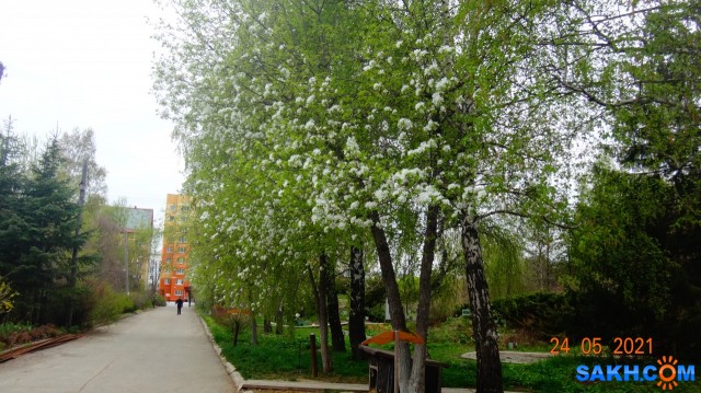 DSC02543

Просмотров: 342
Комментариев: 0