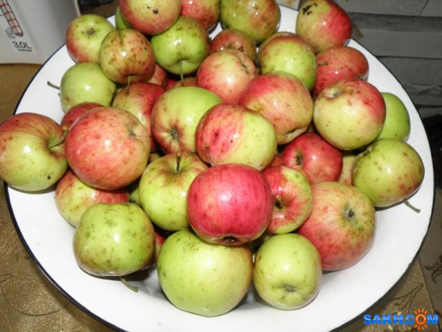 Сахалинские яблоки, выросшие в Холмском р-оне. Куплены у частника.

Просмотров: 610
Комментариев: 0