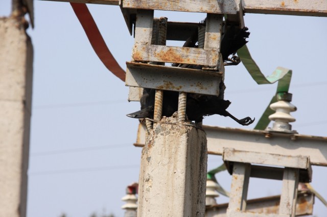 Не влезай - убьёт!
Фотограф: Elektric

Просмотров: 6328
Комментариев: 0