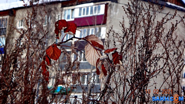 DSC09978

Просмотров: 873
Комментариев: 0