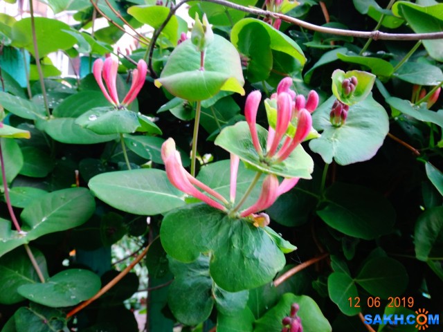 DSC08666

Просмотров: 556
Комментариев: 0