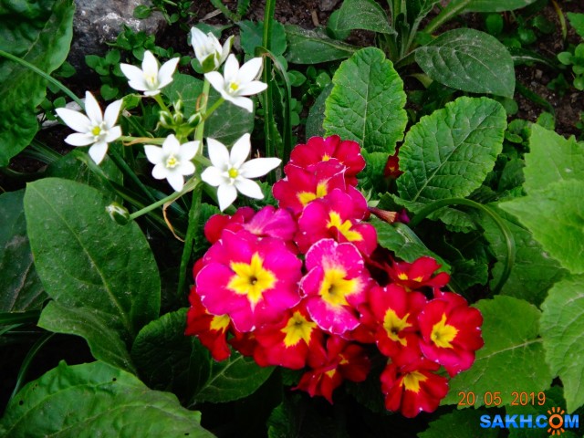 DSC06892

Просмотров: 453
Комментариев: 0