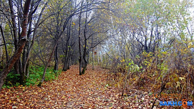DSC08038

Просмотров: 421
Комментариев: 0