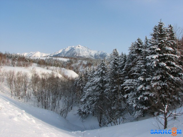 IMG_0570-к

Просмотров: 474
Комментариев: 0
