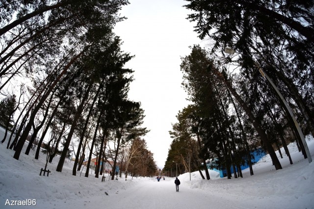 ***

Просмотров: 628
Комментариев: 0