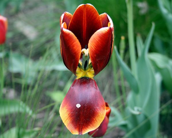 IMG_4254

Просмотров: 2851
Комментариев: 0