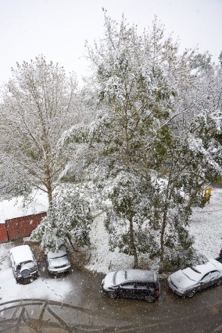 Первый снег 2011 года.