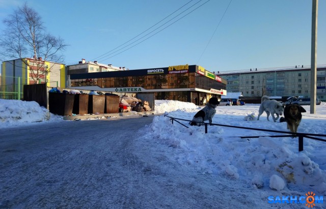 Лучший

Просмотров: 4108
Комментариев: 1