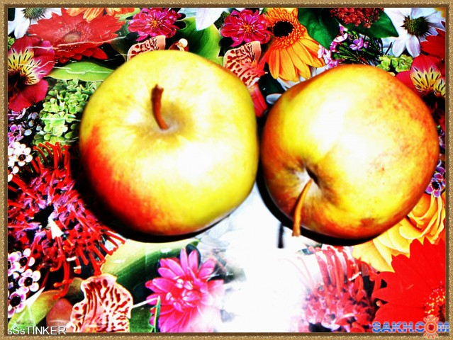 Яблоки на столе
Фотограф: sSsTINKER

Просмотров: 4123
Комментариев: 0