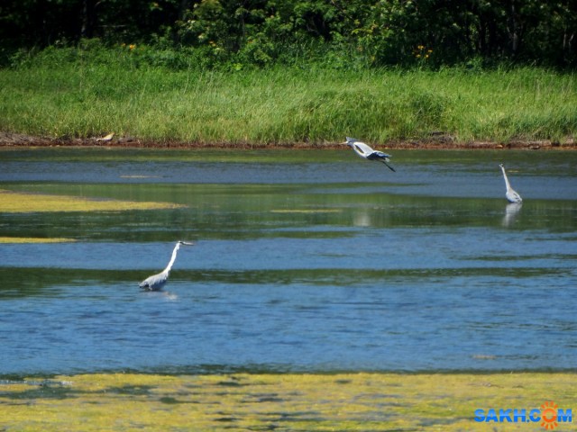 DSC01704_н

Просмотров: 554
Комментариев: 0