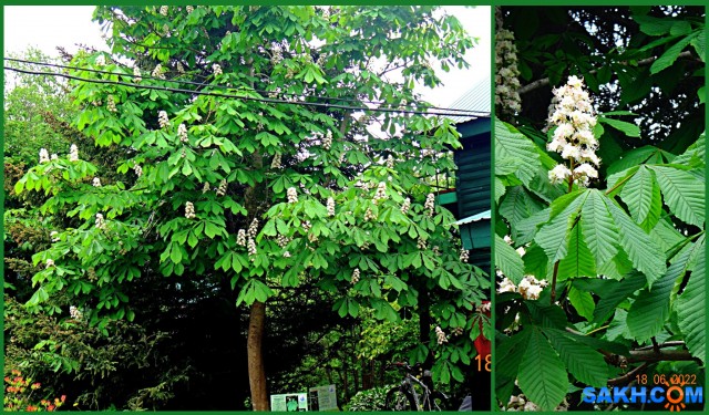 MyCollages

Просмотров: 121
Комментариев: 0