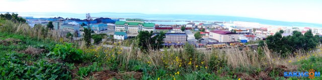 DSC05389
