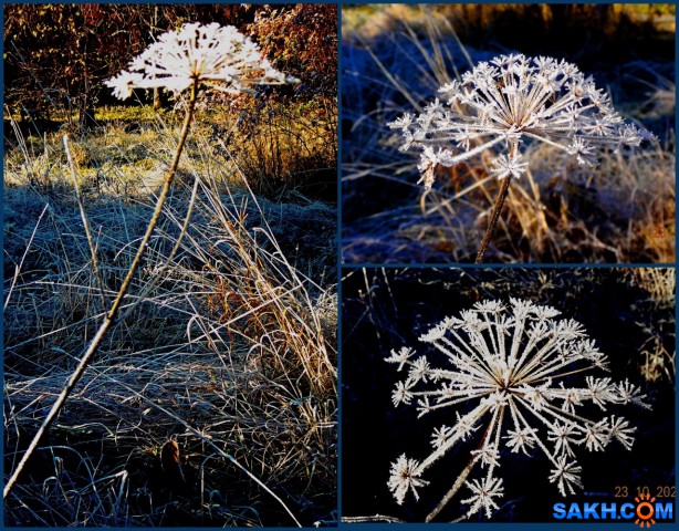 MyCollages (1)

Просмотров: 305
Комментариев: 0