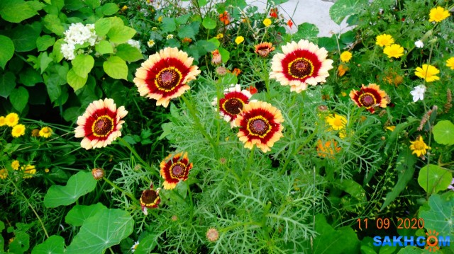 DSC06815

Просмотров: 693
Комментариев: 0