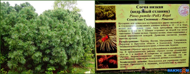1ce37826-1bd6-45e4-ab43-e28df9d363a7

Просмотров: 252
Комментариев: 0