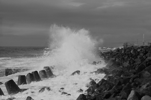 Море в гневе.
Фотограф: В. Евдокимов
Холмск, после шторма.

Просмотров: 2996
Комментариев: 0