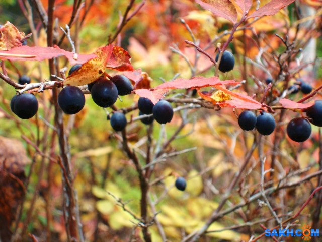 DSC01667

Просмотров: 534
Комментариев: 0