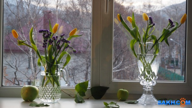 цветы на окне

Просмотров: 874
Комментариев: 0