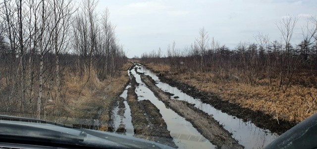 20200425_134144

Просмотров: 444
Комментариев: 0