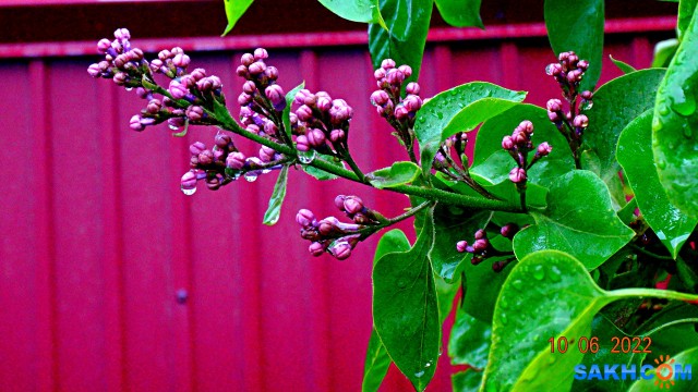DSC09741

Просмотров: 234
Комментариев: 0