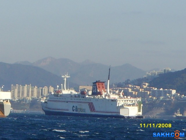 SNV31753