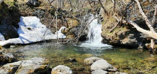 20201122_232402

Просмотров: 347
Комментариев: 0