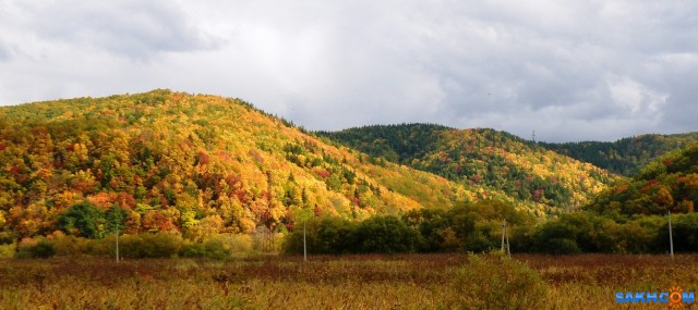 Осенние сахалинские краски природы