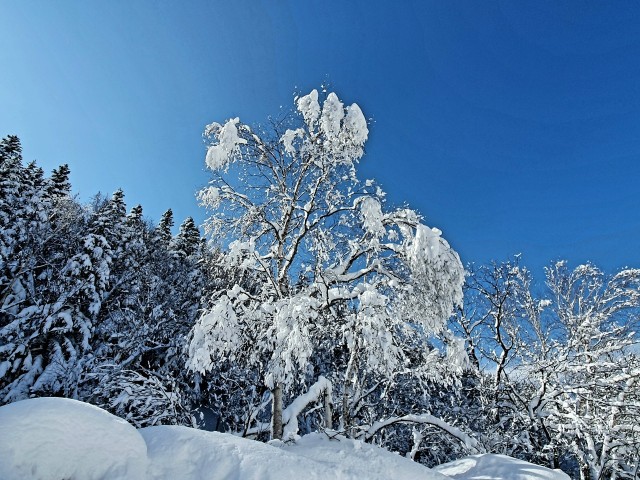 20200322_132143

Просмотров: 410
Комментариев: 0
