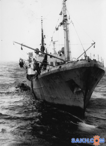 СРТМ  ГРАВЕР  (1983 г, иваси)  
Фотограф: 7388PetVladVik

Просмотров: 7785
Комментариев: 0