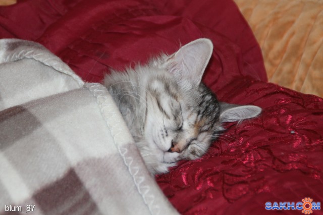 IMG_9460

Просмотров: 373
Комментариев: 0